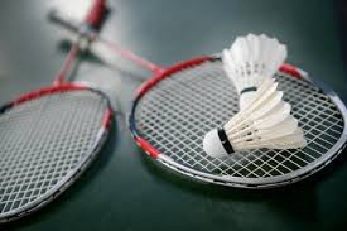 Image Recherche partenaires de badminton
